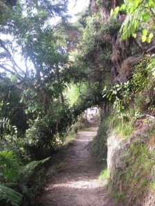 Abel Tasman Coastal Trail